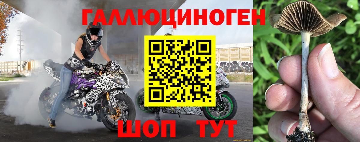 Псилоцибиновые грибы мухоморы  Вход с VPN  как найти закладки  Великий Устюг 
